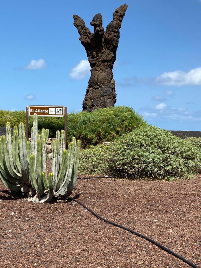 El Atico Del Mar 5B Lägenhet Las Palmas de Gran Canaria Exteriör bild